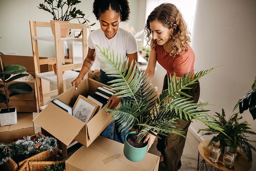 Couple moving plants into new home